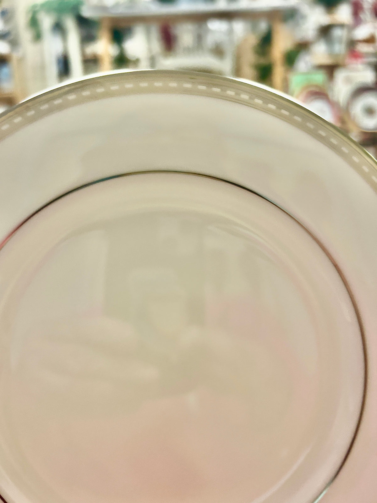 Close-up of cream salad plate with dark inner ring and silver-toned rim