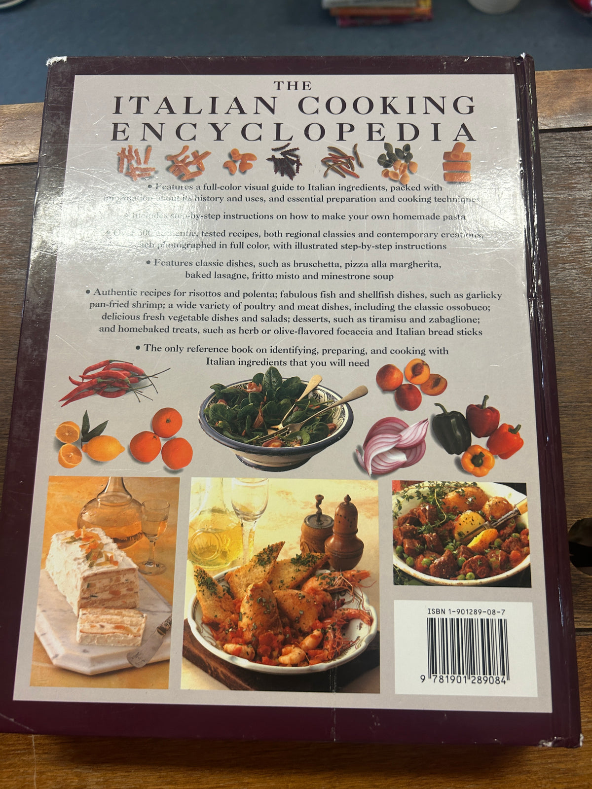 Italian cooking encyclopedia book back cover with text blocks and food photos