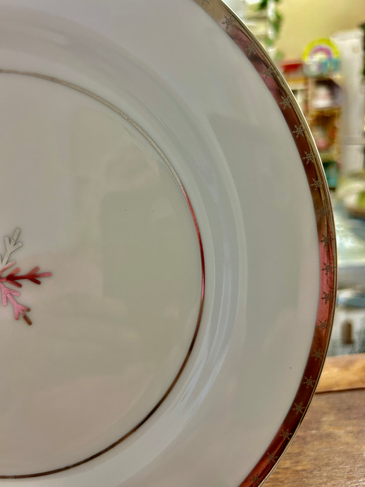 Side view of white dinner plate with red speckled outer rim and dark line
