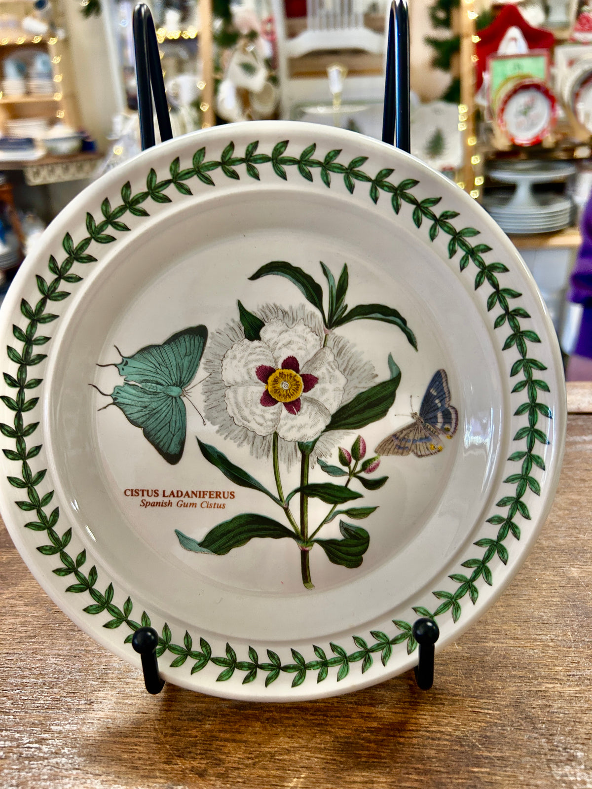Botanic Garden decorative plate with green leaf border, butterfly and flower illustration