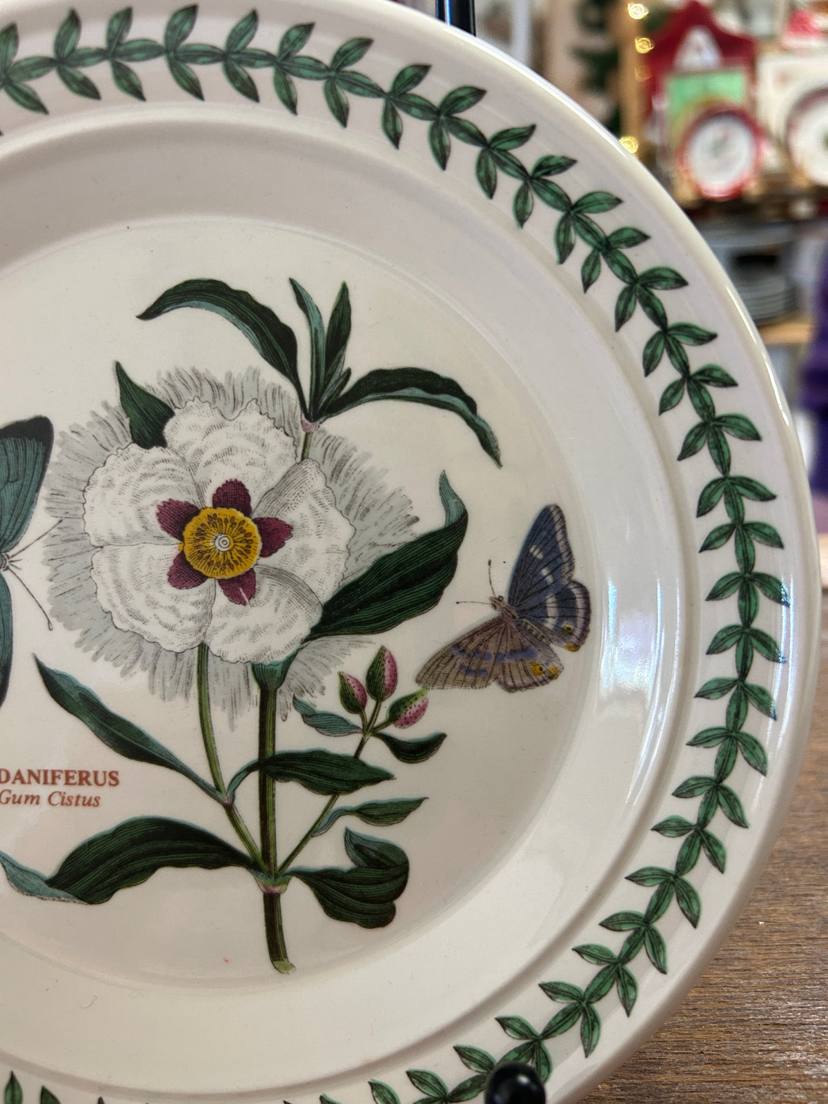 Botanic Garden decorative plate side view with butterfly, white flower, green leaf rim
