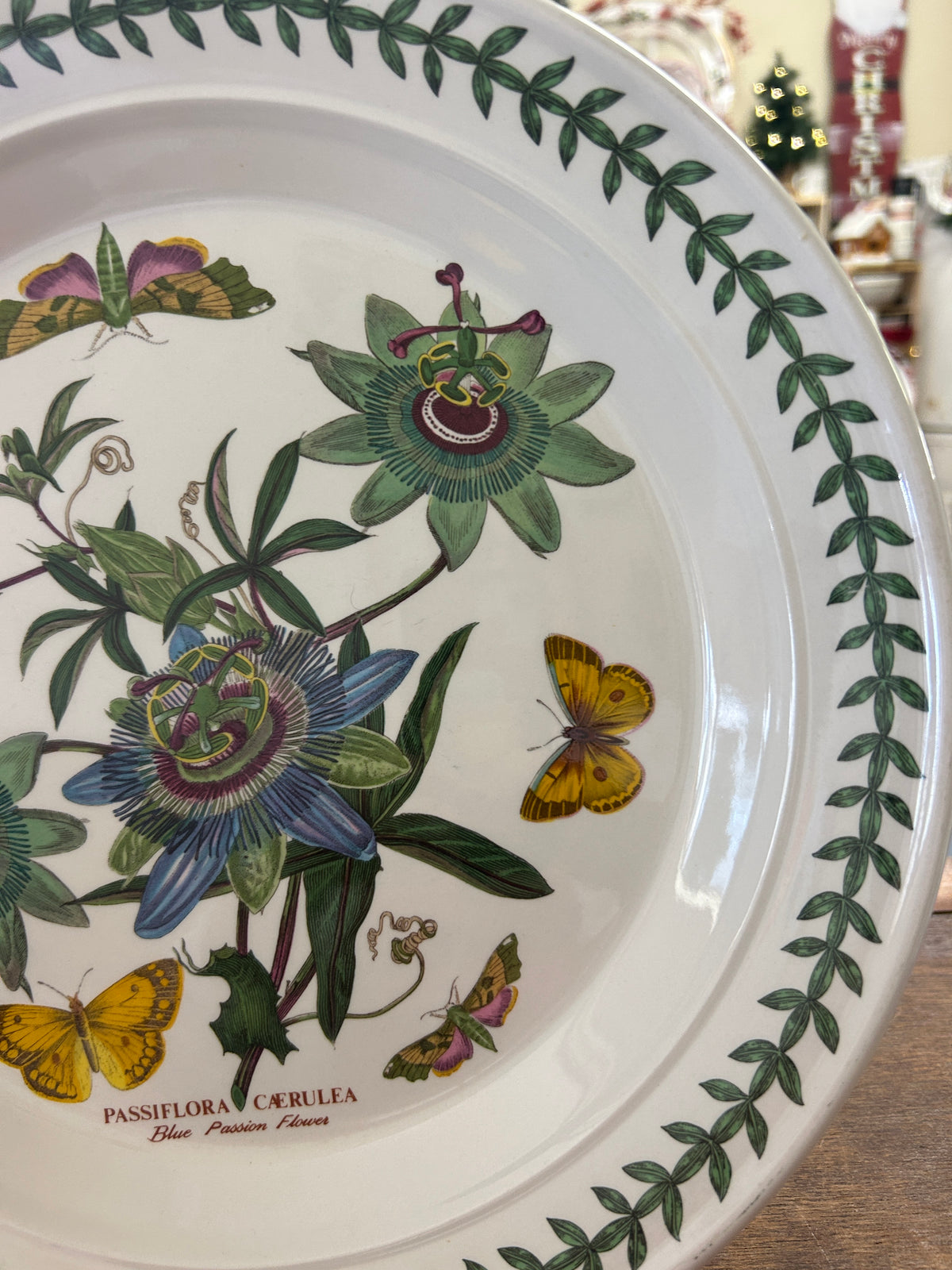 Multicolor Portmeirion Botanic Garden Platter England, 12 1/4"