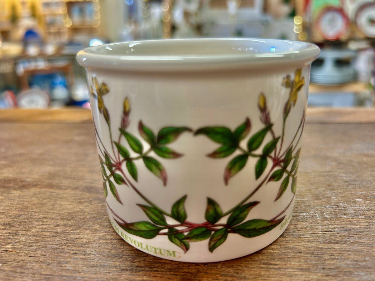 Multicolor Portmeirion Botanic Garden Drum Cup England, 2 3/4"