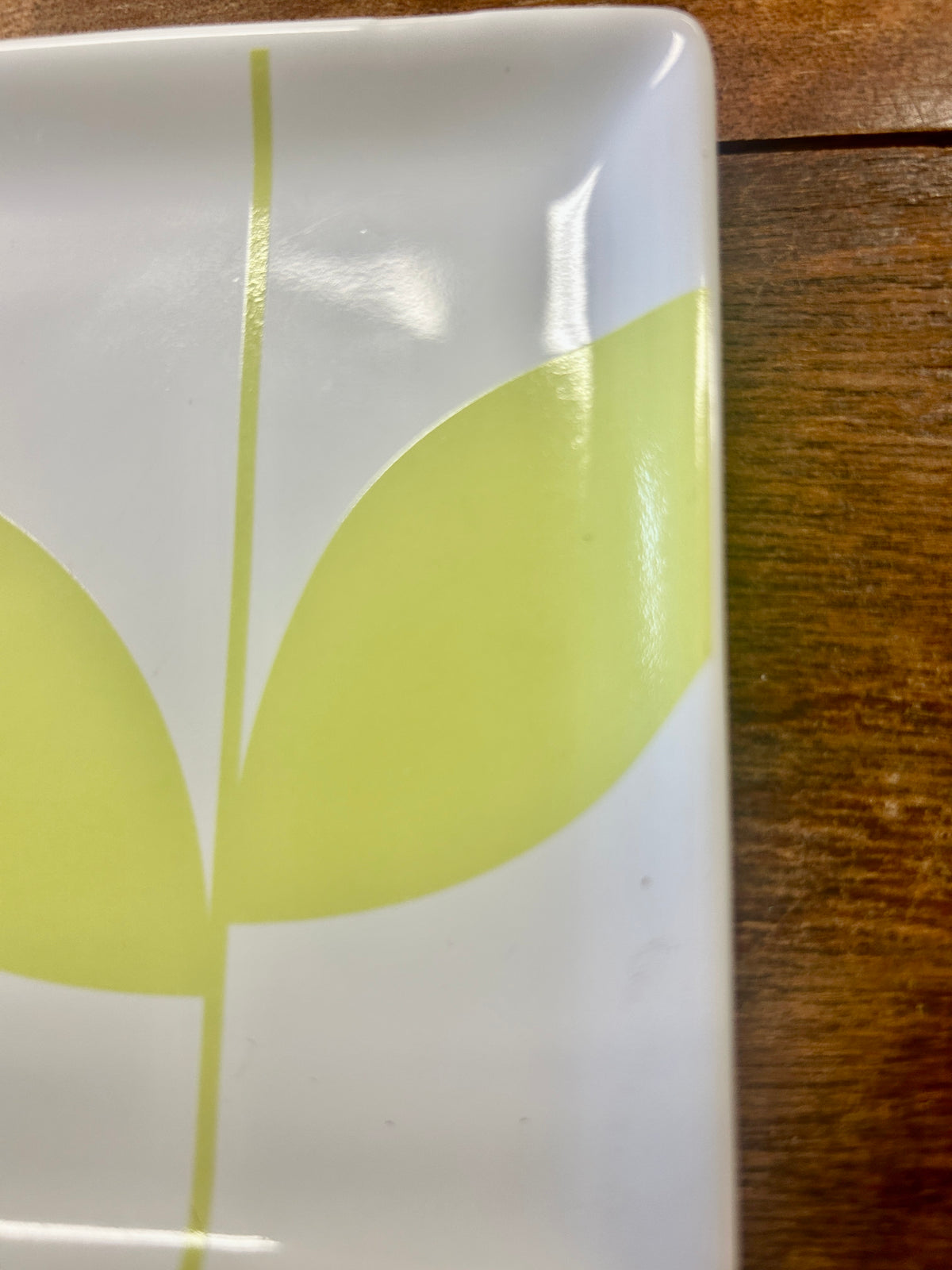 Square ceramic plate close-up with green leaf print on white glazed surface
