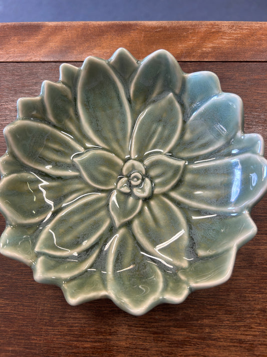 Green Williams Sonoma Green Succulent Plate, 6"