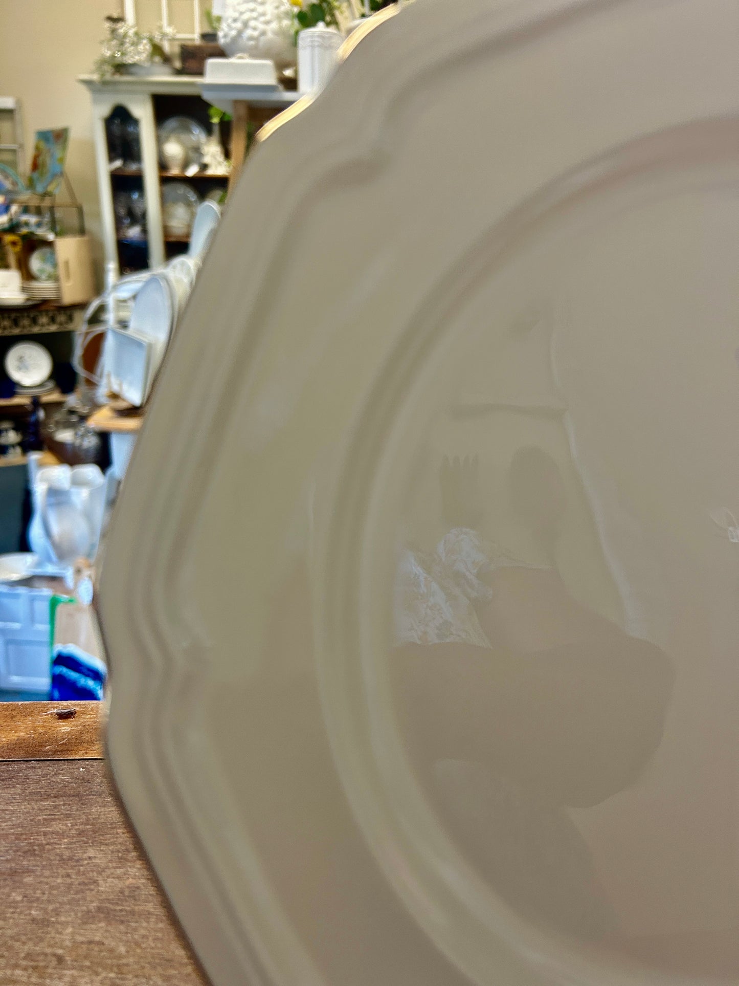 White Mikasa Antique Gold Dinner Plate, 10 3/4"