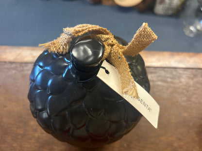 Rae Dunn NEW Black HOME Bird House, 7 1/2"