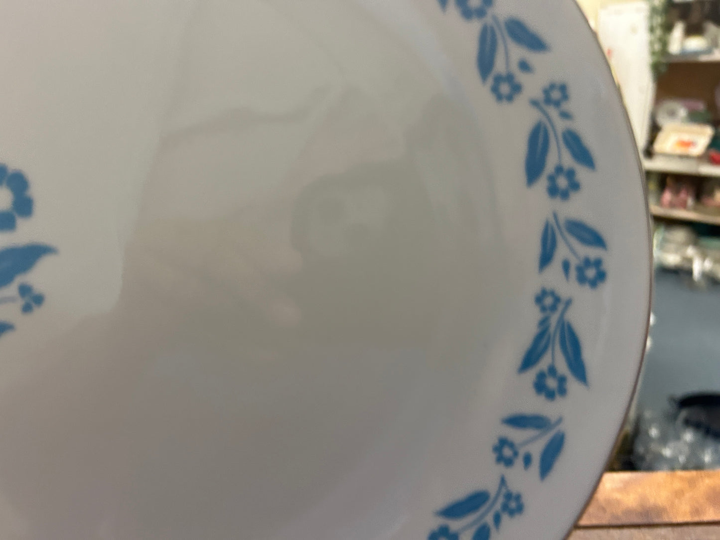 Blue & White  Symphony in Blue Platter, 14"