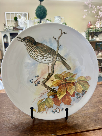 Multicolor Richard Ginori Bird Plate Italy, 10 1/4"