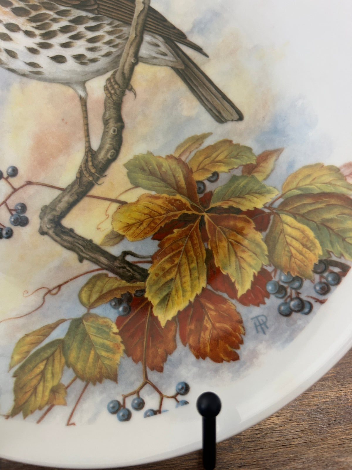 Multicolor Richard Ginori Bird Plate Italy, 10 1/4"
