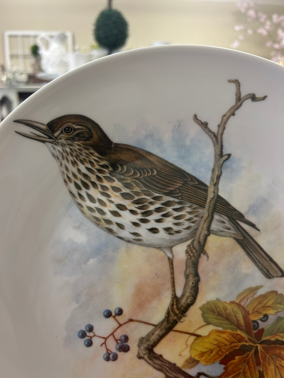 Multicolor Richard Ginori Bird Plate Italy, 10 1/4"