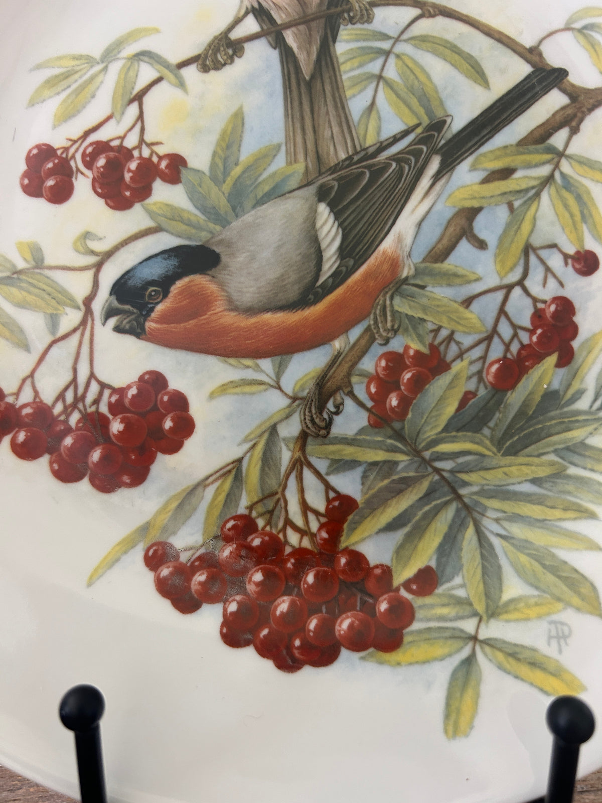 Multicolor Richard Ginori Bird Plate Italy, 10 1/4"
