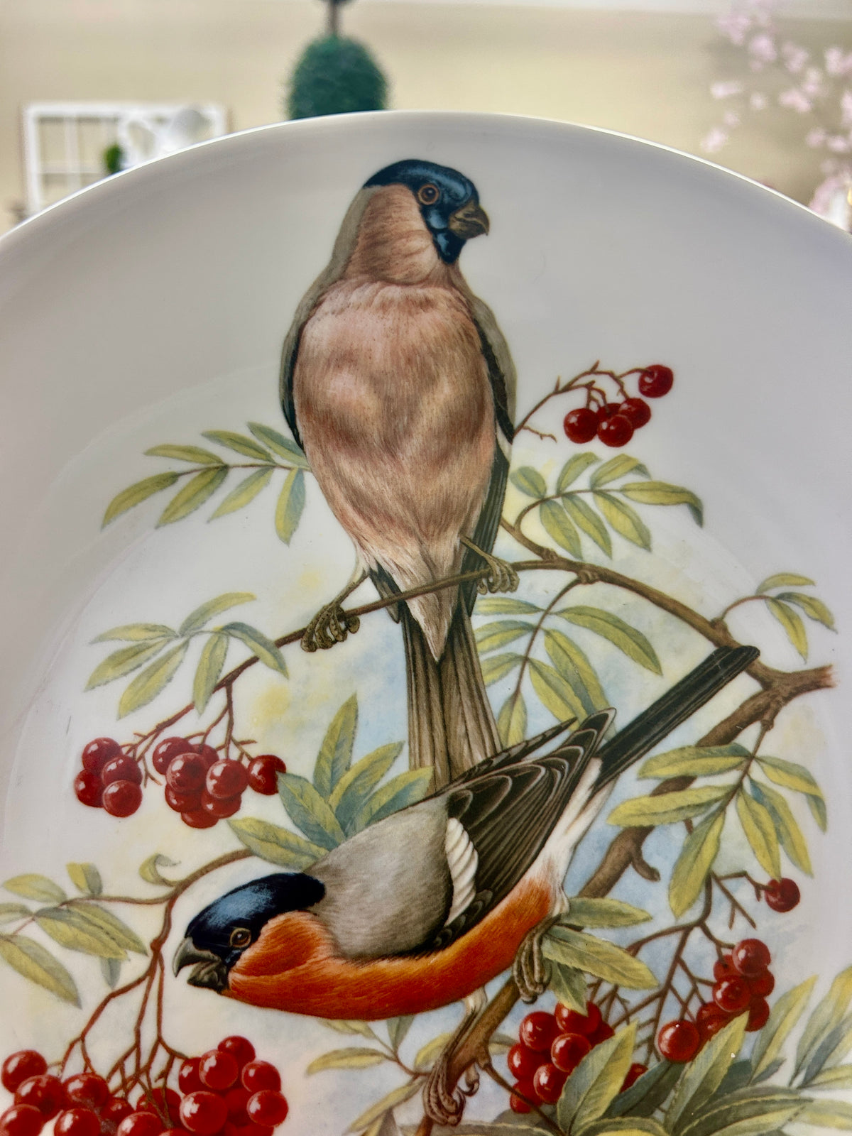 Multicolor Richard Ginori Bird Plate Italy, 10 1/4"