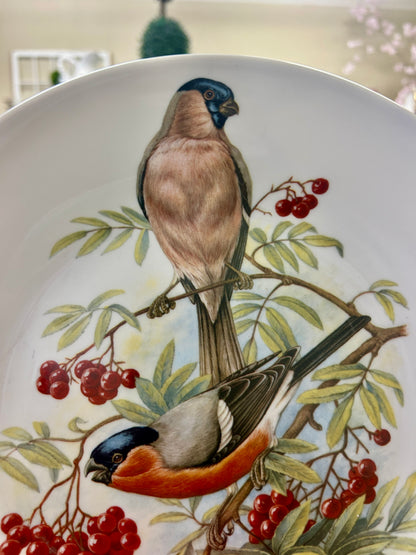 Multicolor Richard Ginori Bird Plate Italy, 10 1/4"
