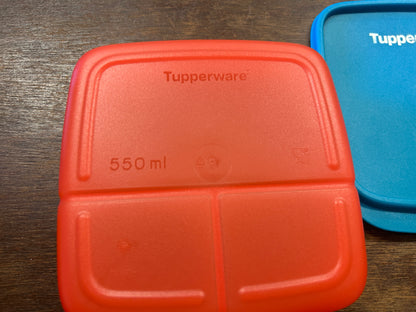 Blue & Red Tupperware 3 Section Square w/ Lid, 6"