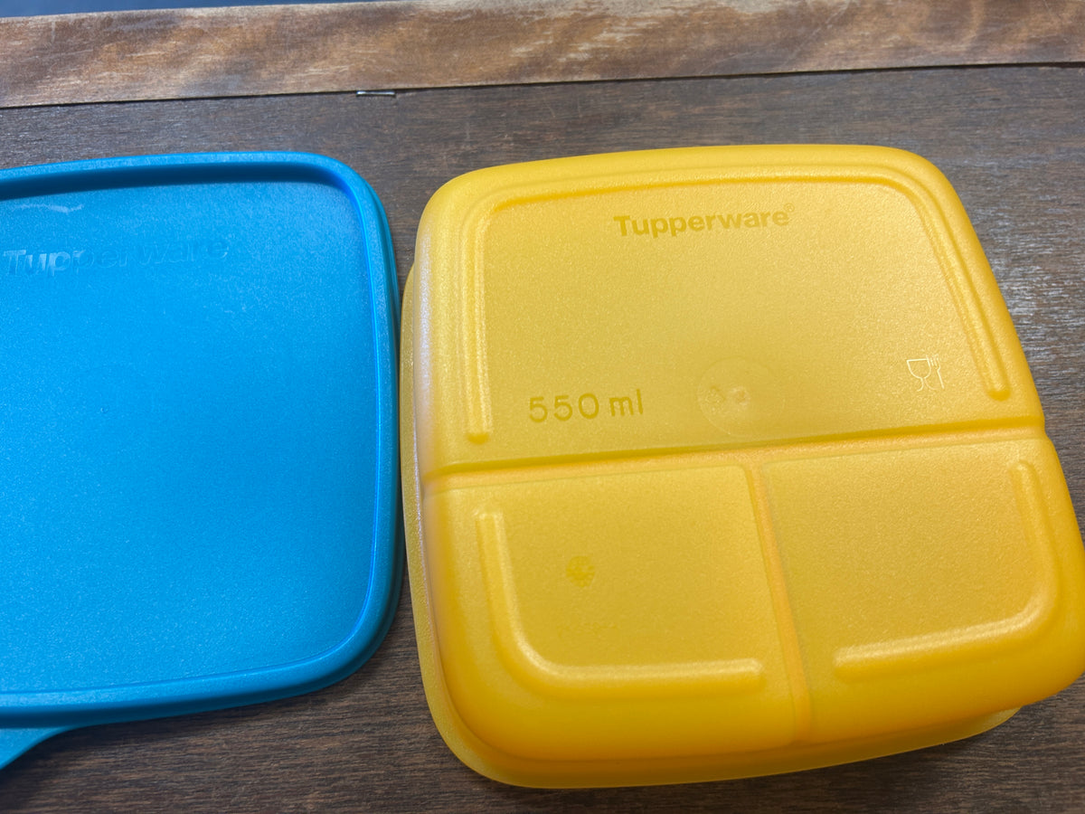 Blue & Orange Tupperware 3 Section Square w/ Lid, 6"
