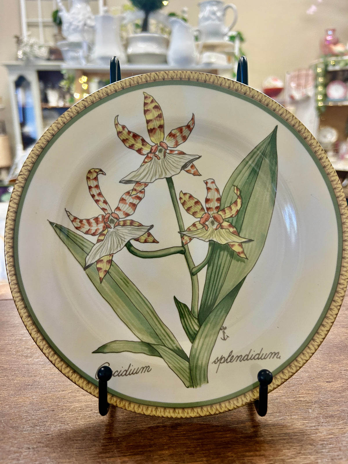Multicolor American Atelier Botanical Plate, 8"
