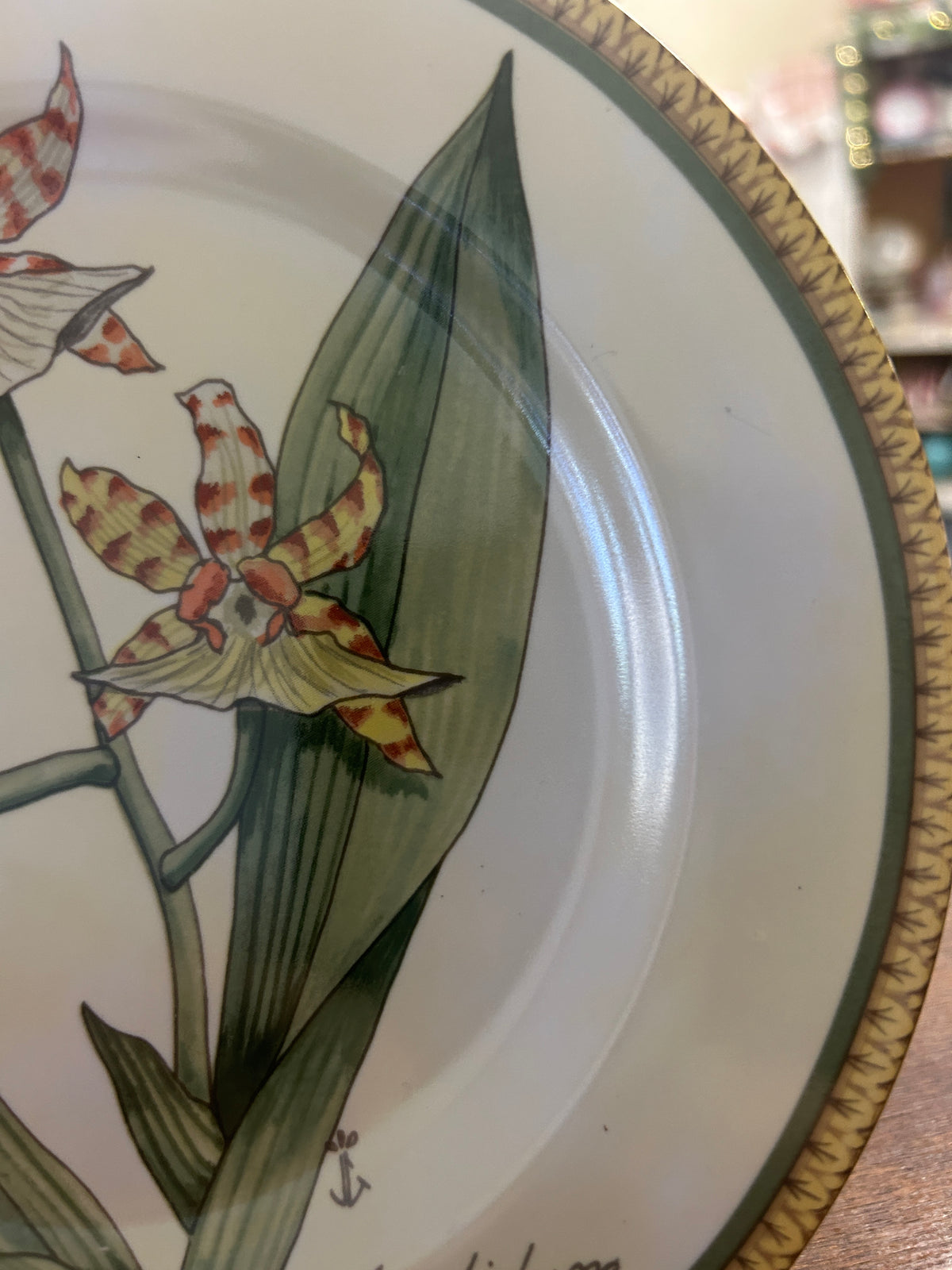 Multicolor American Atelier Botanical Plate, 8"