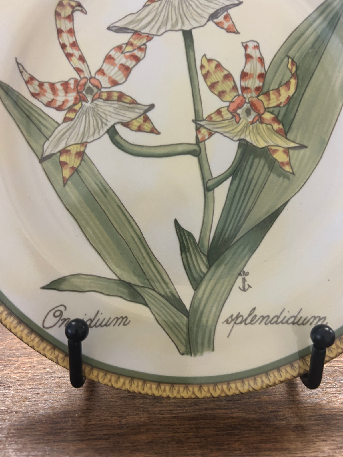 Multicolor American Atelier Botanical Plate, 8"