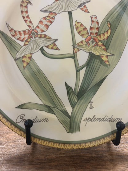 Multicolor American Atelier Botanical Plate, 8"