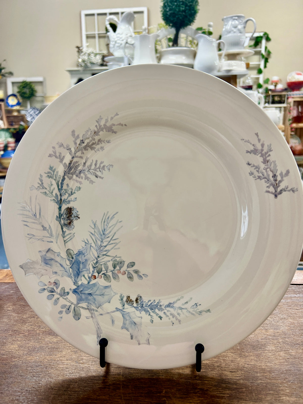 Blue & White Pfaltzgraff Winter Frost Dinner Plate, 11"