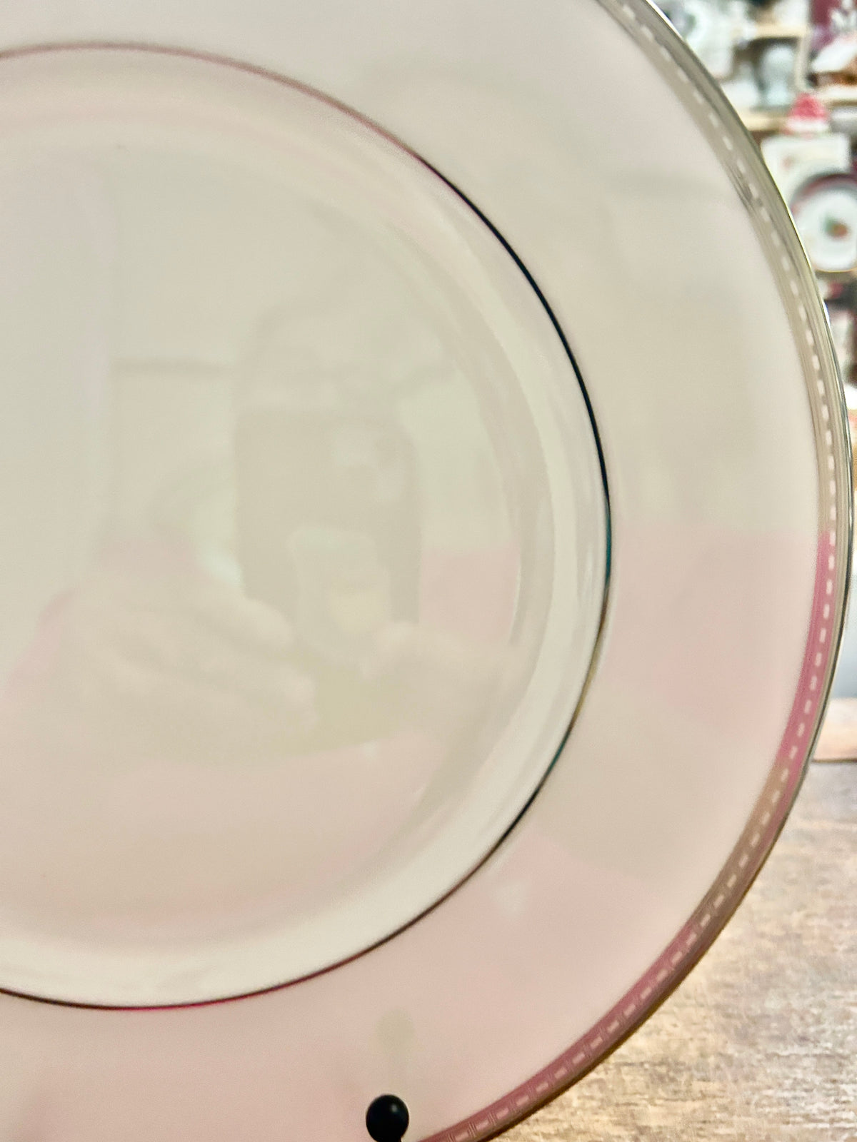 Round dinner plate detail showing dark outer rim line and silver-toned edging