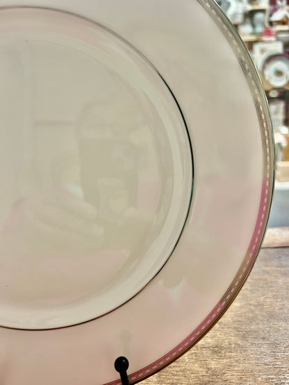 White dinner plate edge detail with silver-toned rim and red-brown border line