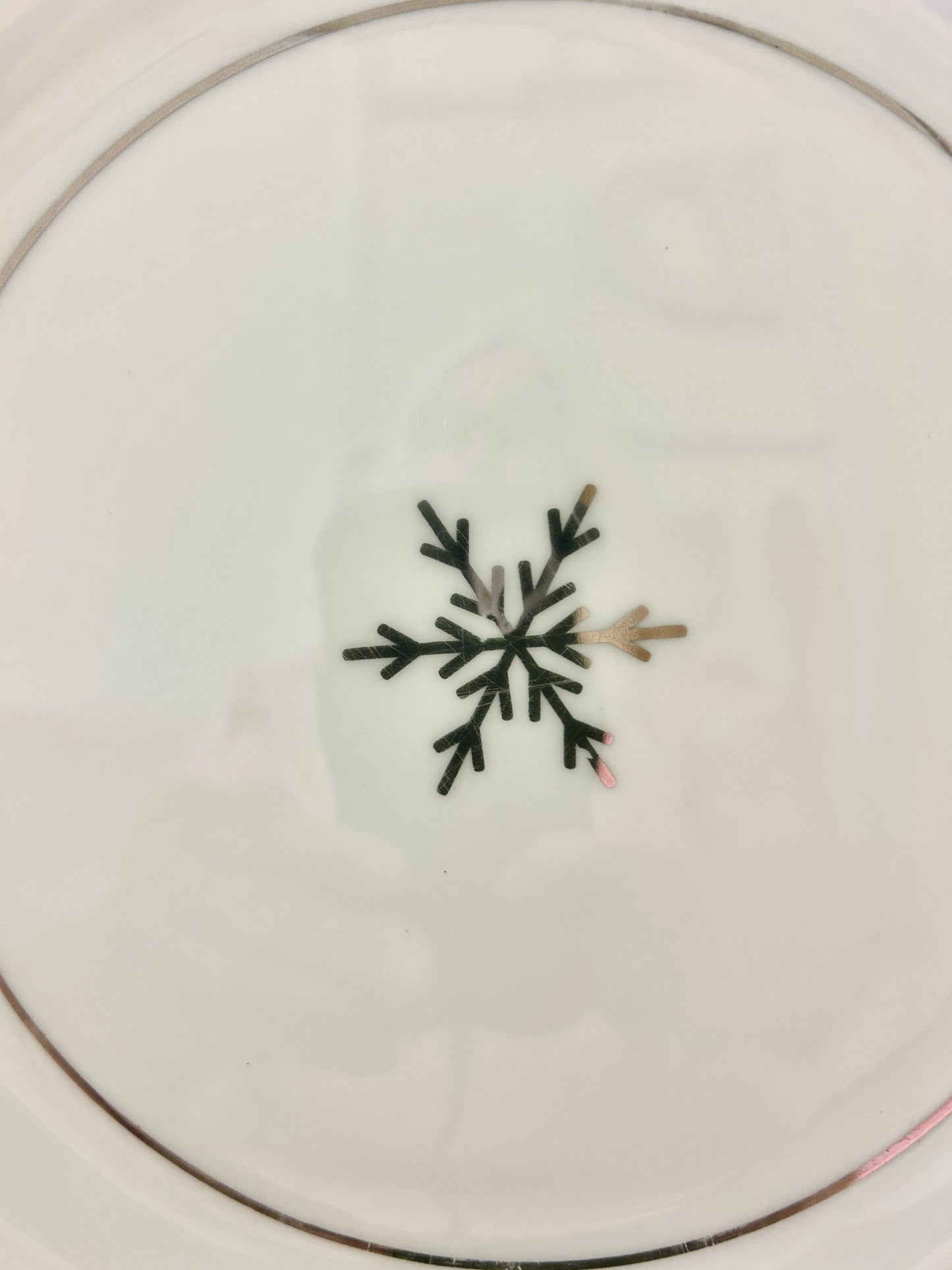 Silver & White Home First Frost Dinner Plate, 10 3/4"