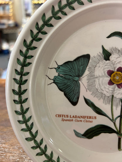 Botanic Garden plate close-up: teal butterfly, white flower, green vine border