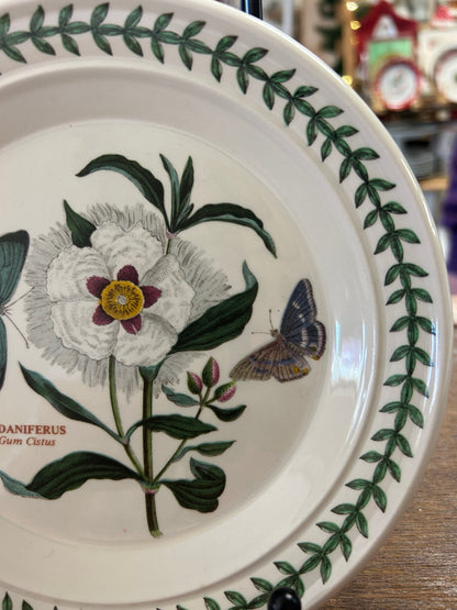 Botanic Garden decorative plate side view with butterfly, white flower, green leaf rim