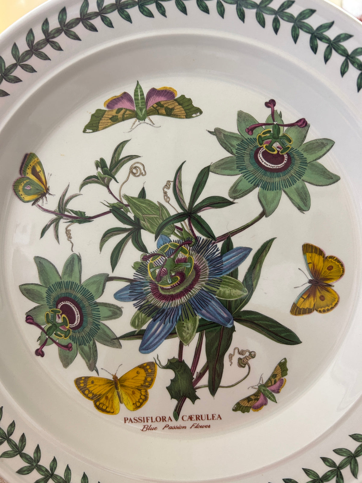 Multicolor Portmeirion Botanic Garden Platter England, 12 1/4"