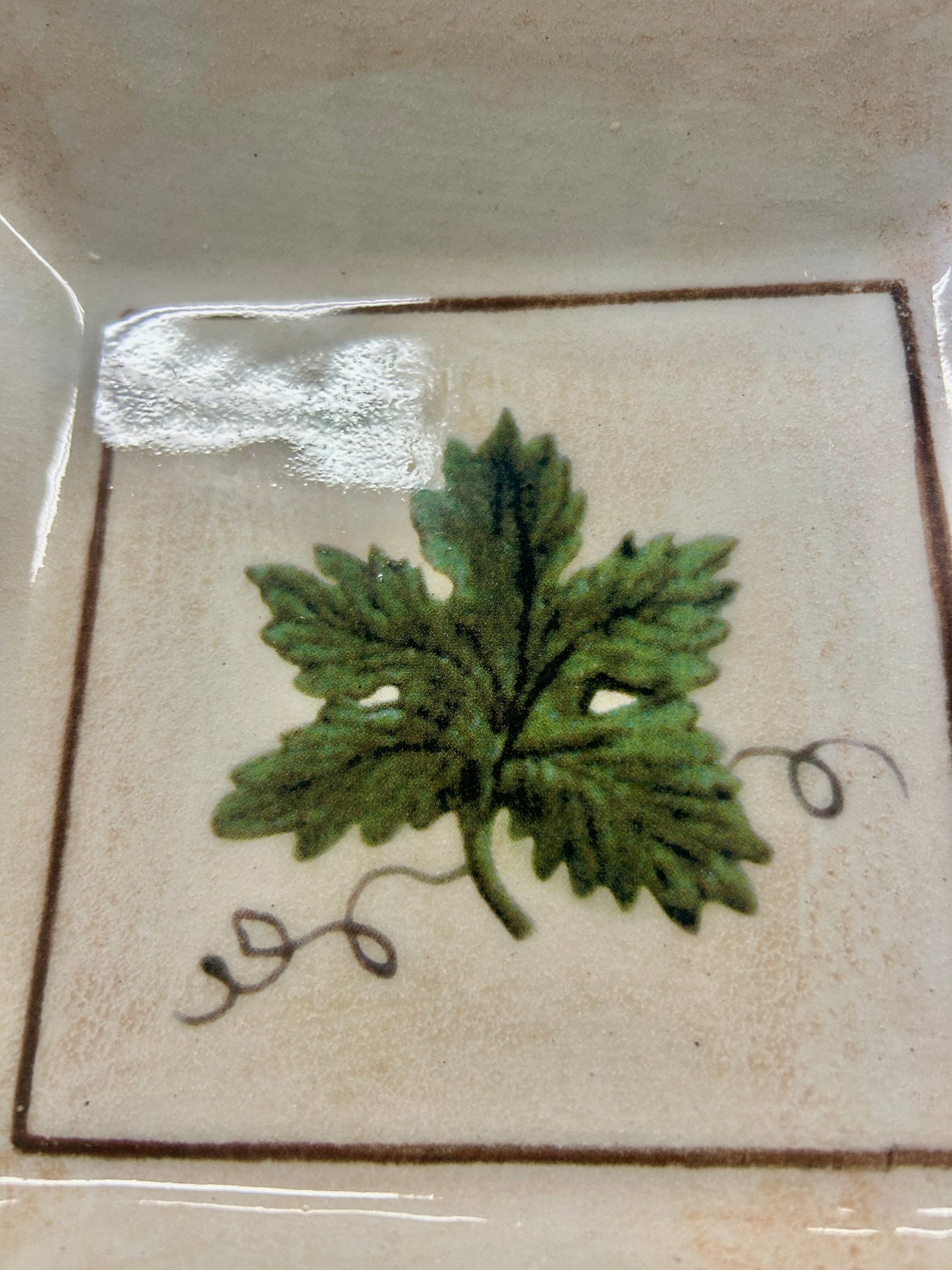Green & Cream Williams Sonoma Leaf Square Bowl Italy, 8"