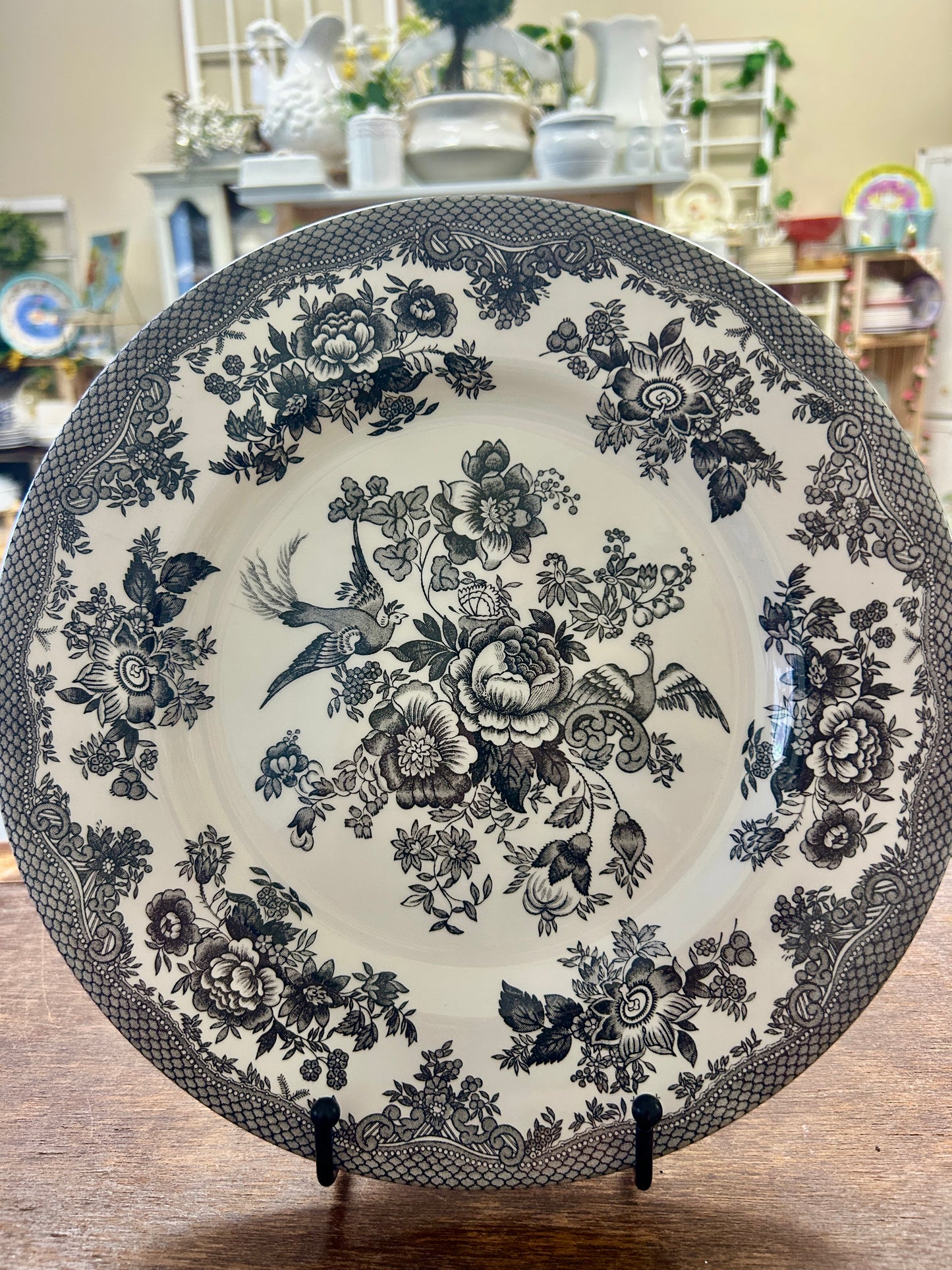 Black & White Royal Stafford Asiatic Pheasant Plate England, 11"