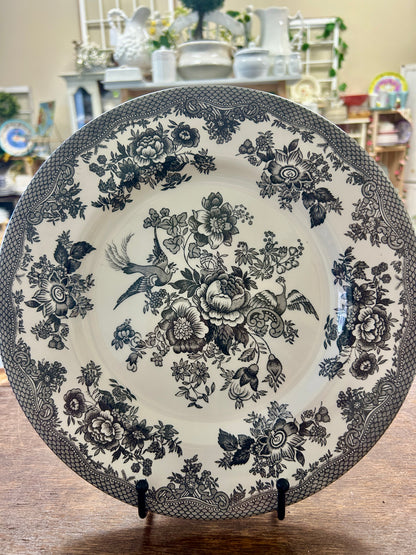 Black & White Royal Stafford Asiatic Pheasant Plate England, 11"