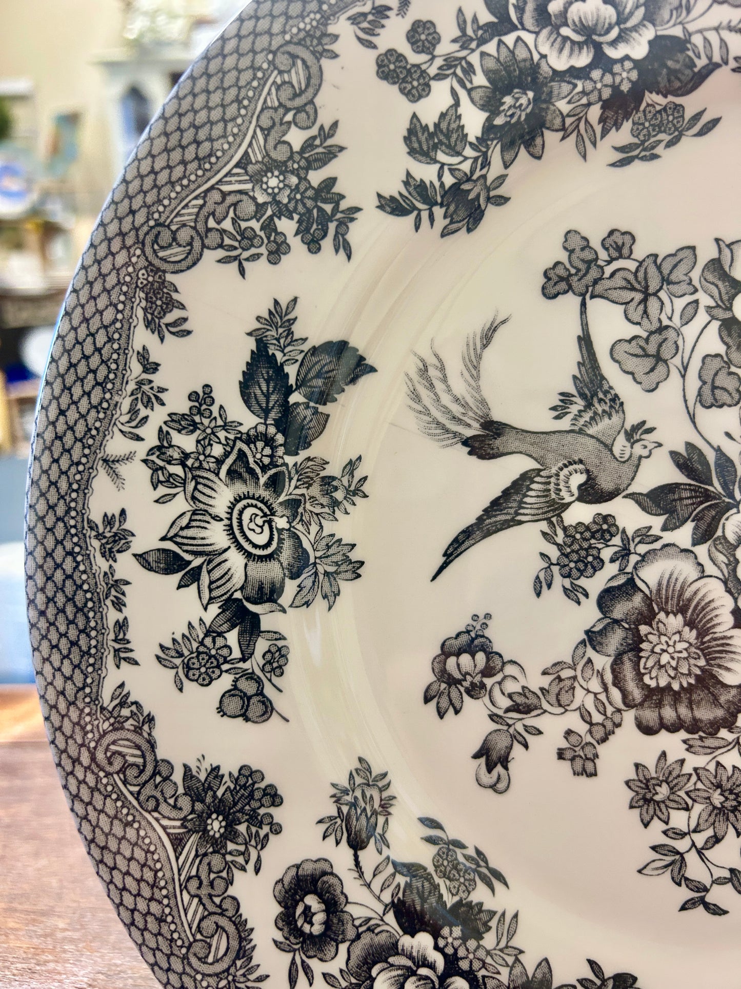 Black & White Royal Stafford Asiatic Pheasant Plate England, 11"