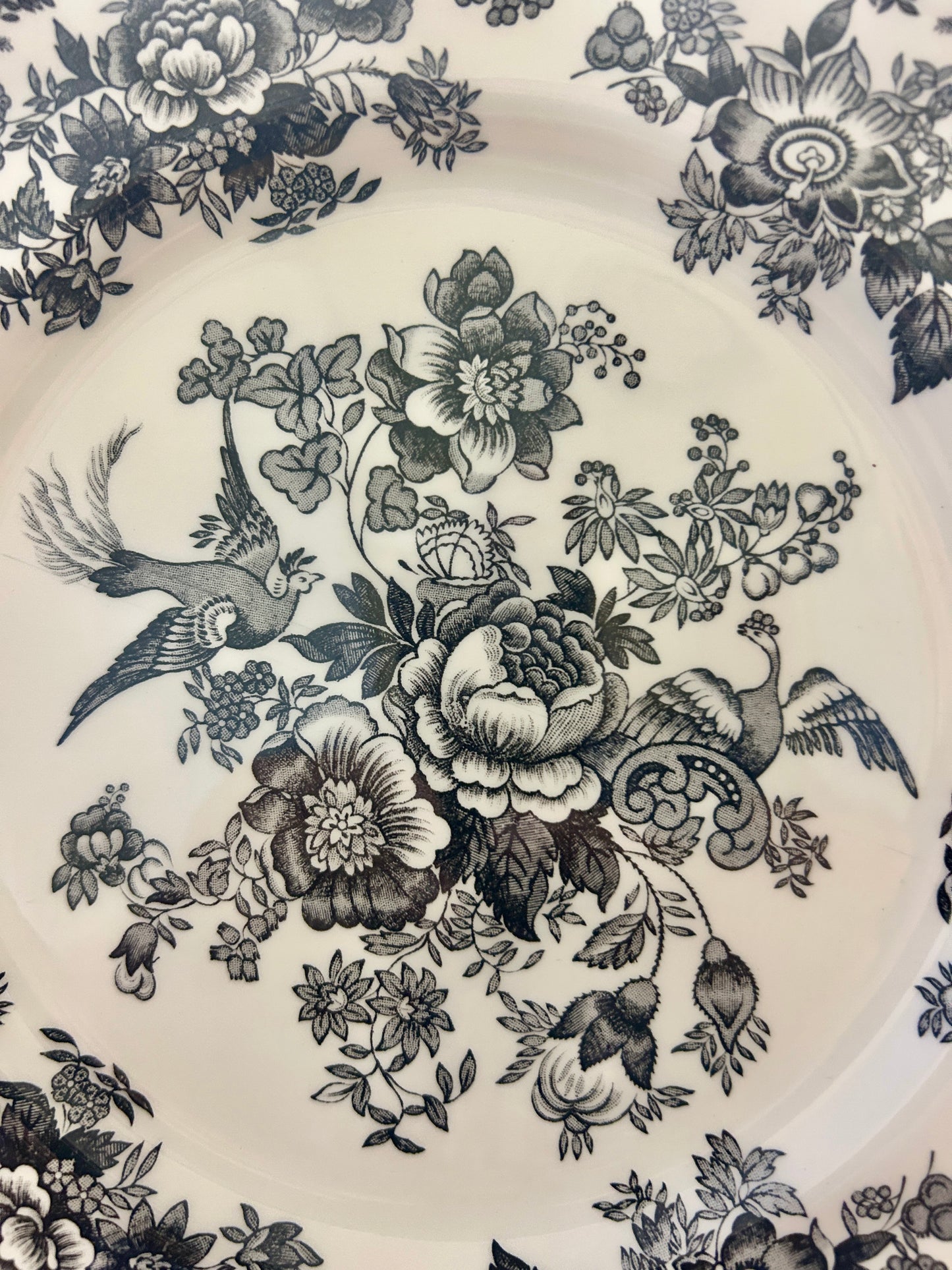 Black & White Royal Stafford Asiatic Pheasant Plate England, 11"