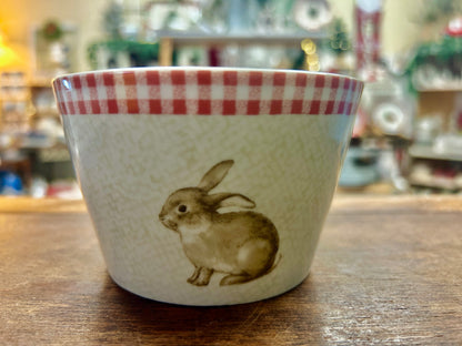 Pink and white ceramic bowl with red gingham rim and bunny rabbit graphic