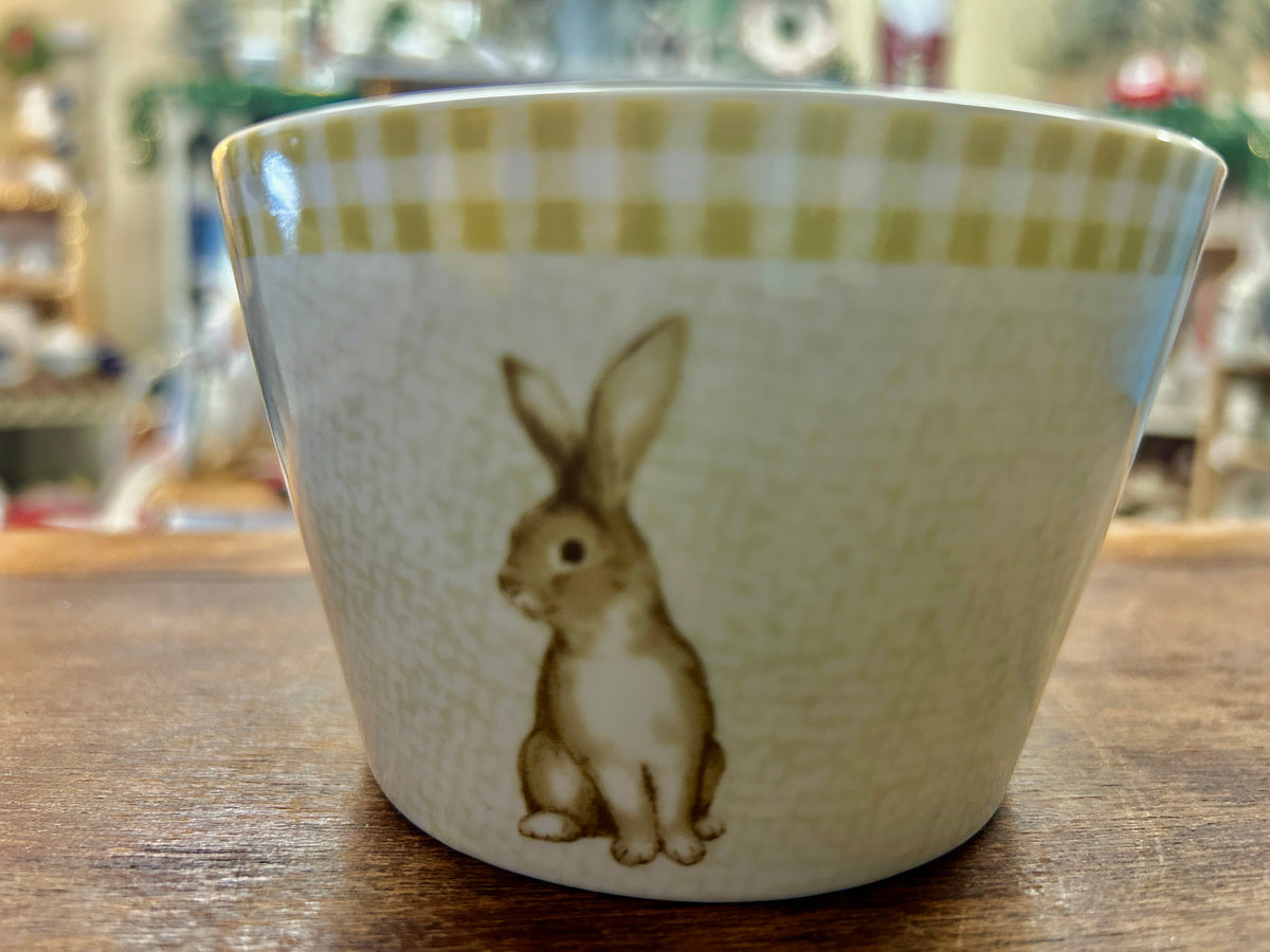 Green and white ceramic bowl with standing bunny and gingham rim